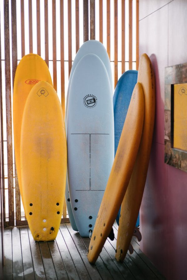 SurfBoard NS1